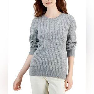 Karen Scott Cable Knit Sweater Eggshell Blue Heather XL New